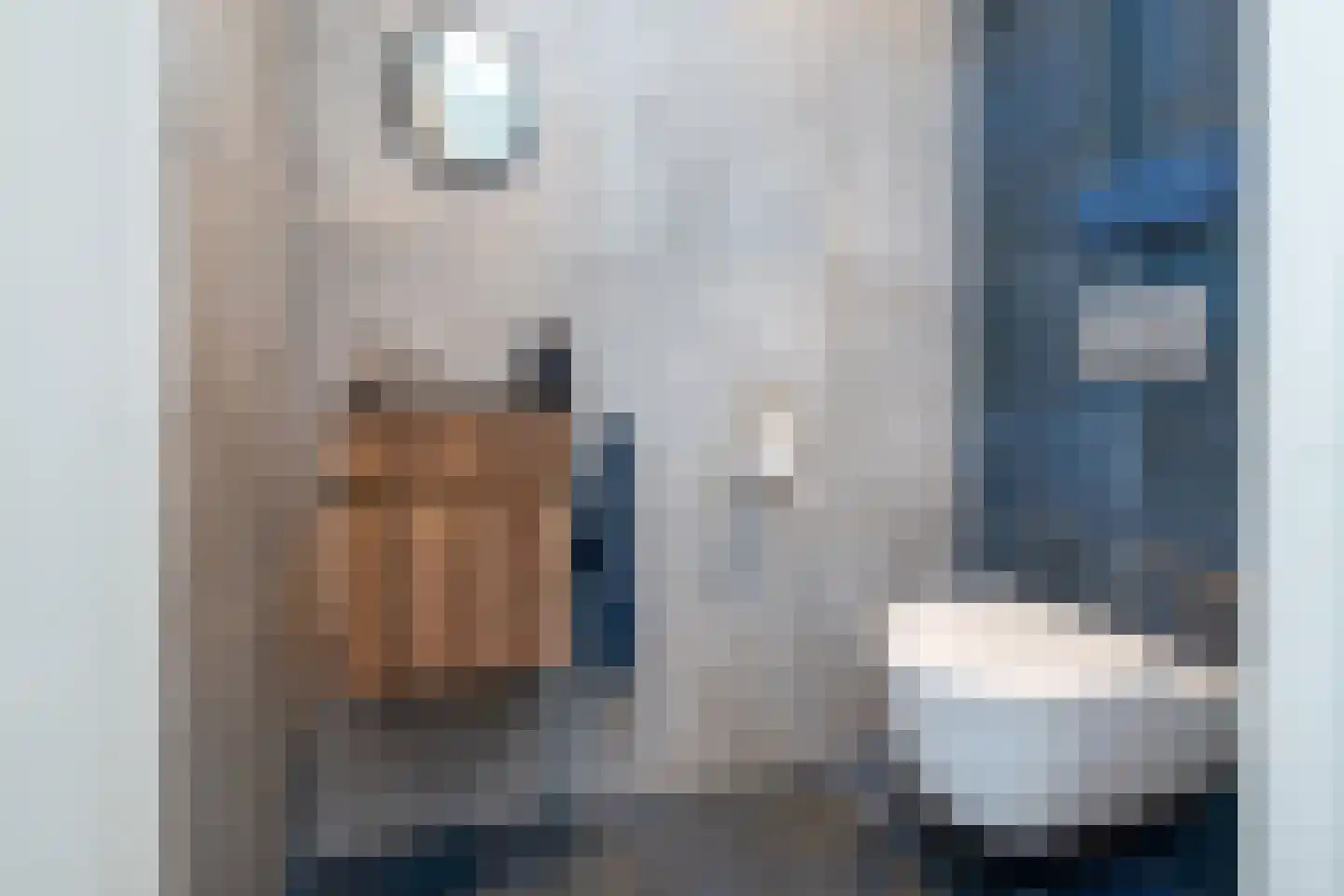 Beb Bakhuysstraat 4 Zwolle thumbnail 24