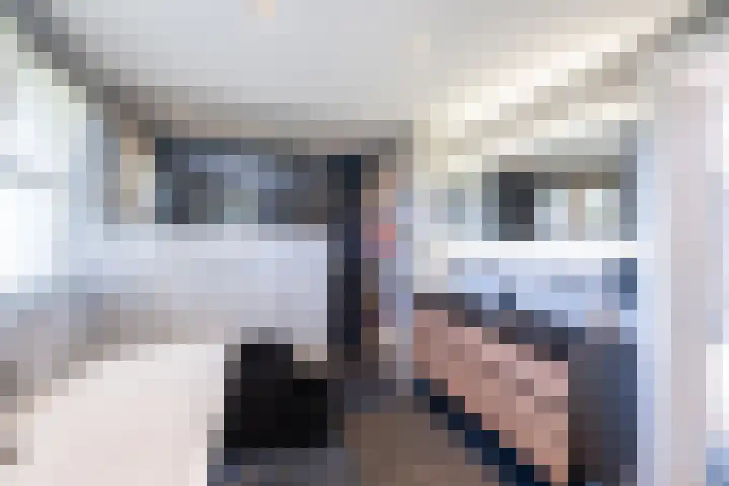 Beb Bakhuysstraat 4 Zwolle thumbnail 34