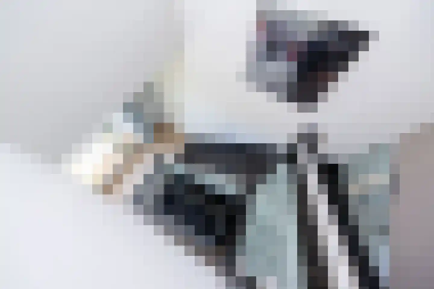 Beb Bakhuysstraat 4 Zwolle thumbnail 45