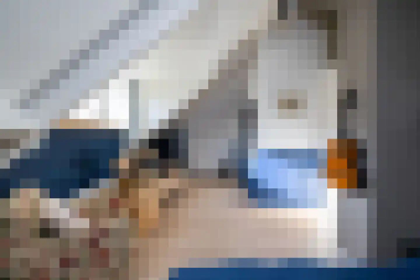 Beb Bakhuysstraat 4 Zwolle thumbnail 47