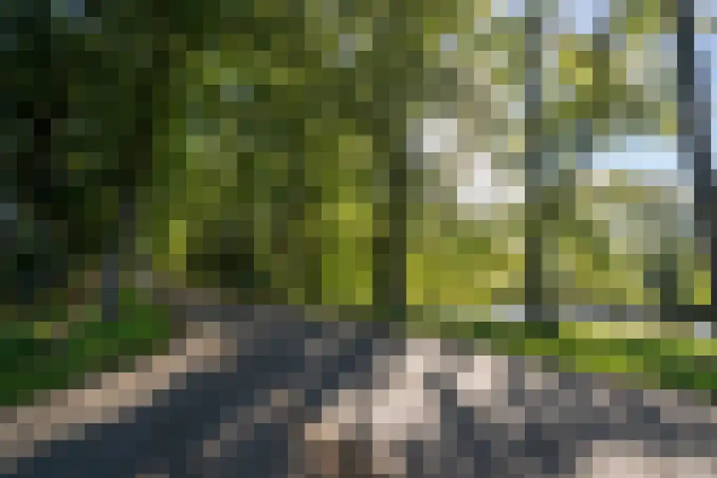 Beb Bakhuysstraat 4 Zwolle thumbnail 72