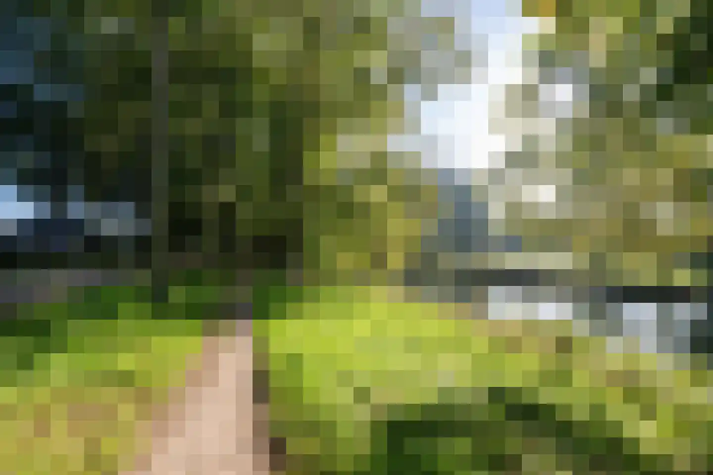 Beb Bakhuysstraat 4 Zwolle thumbnail 73