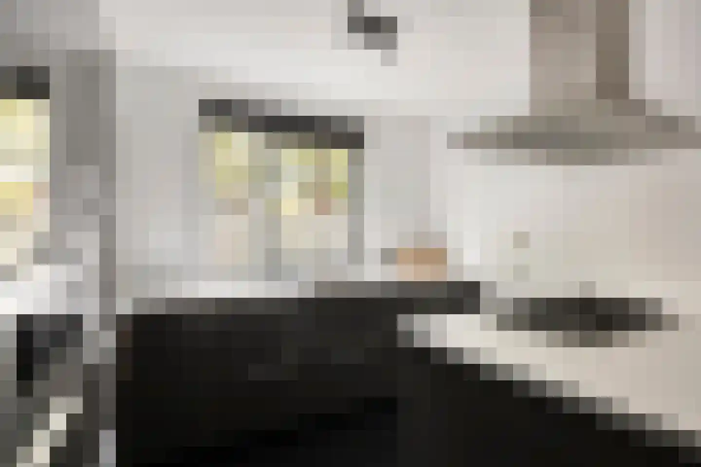 Beb Vuykstraat 60 Spijkenisse thumbnail 10