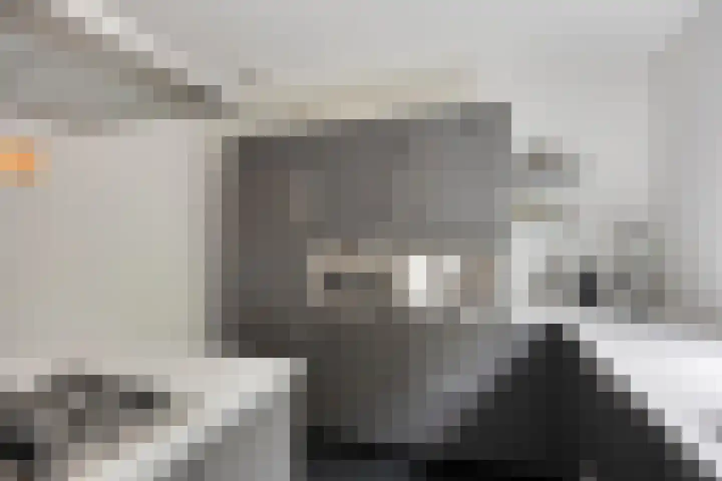 Beb Vuykstraat 60 Spijkenisse thumbnail 11