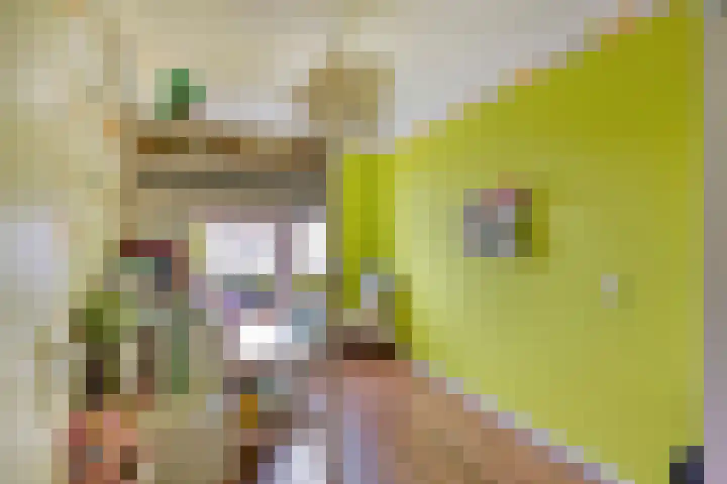 Beb Vuykstraat 60 Spijkenisse thumbnail 14