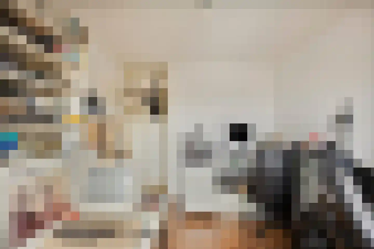 Beb Vuykstraat 60 Spijkenisse thumbnail 23