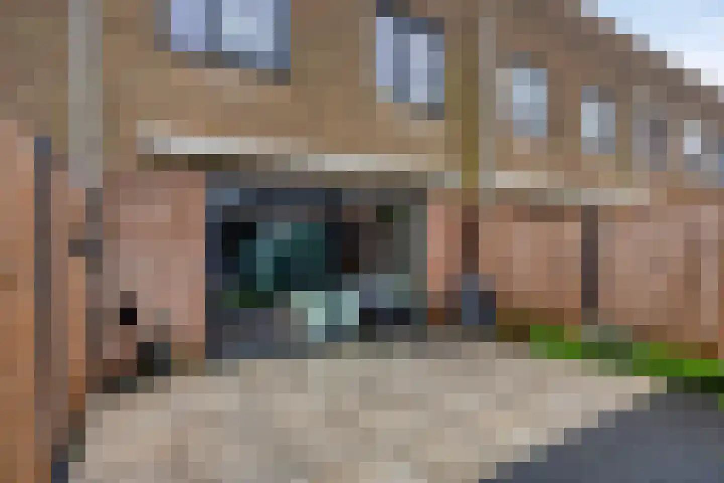 Beb Vuykstraat 60 Spijkenisse thumbnail 30