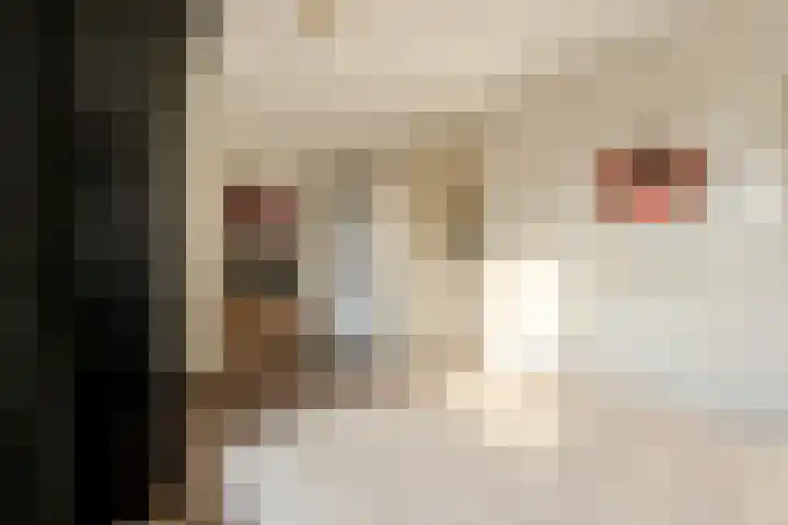 Bebopdreef 3 Harderwijk thumbnail 21