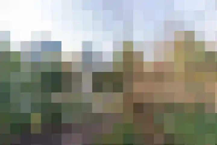 Bebopdreef 3 Harderwijk thumbnail 36