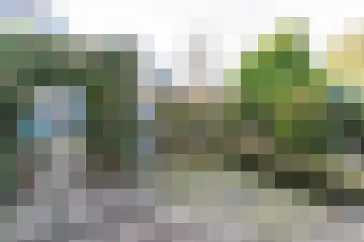 Bebopdreef 3 Harderwijk thumbnail 37