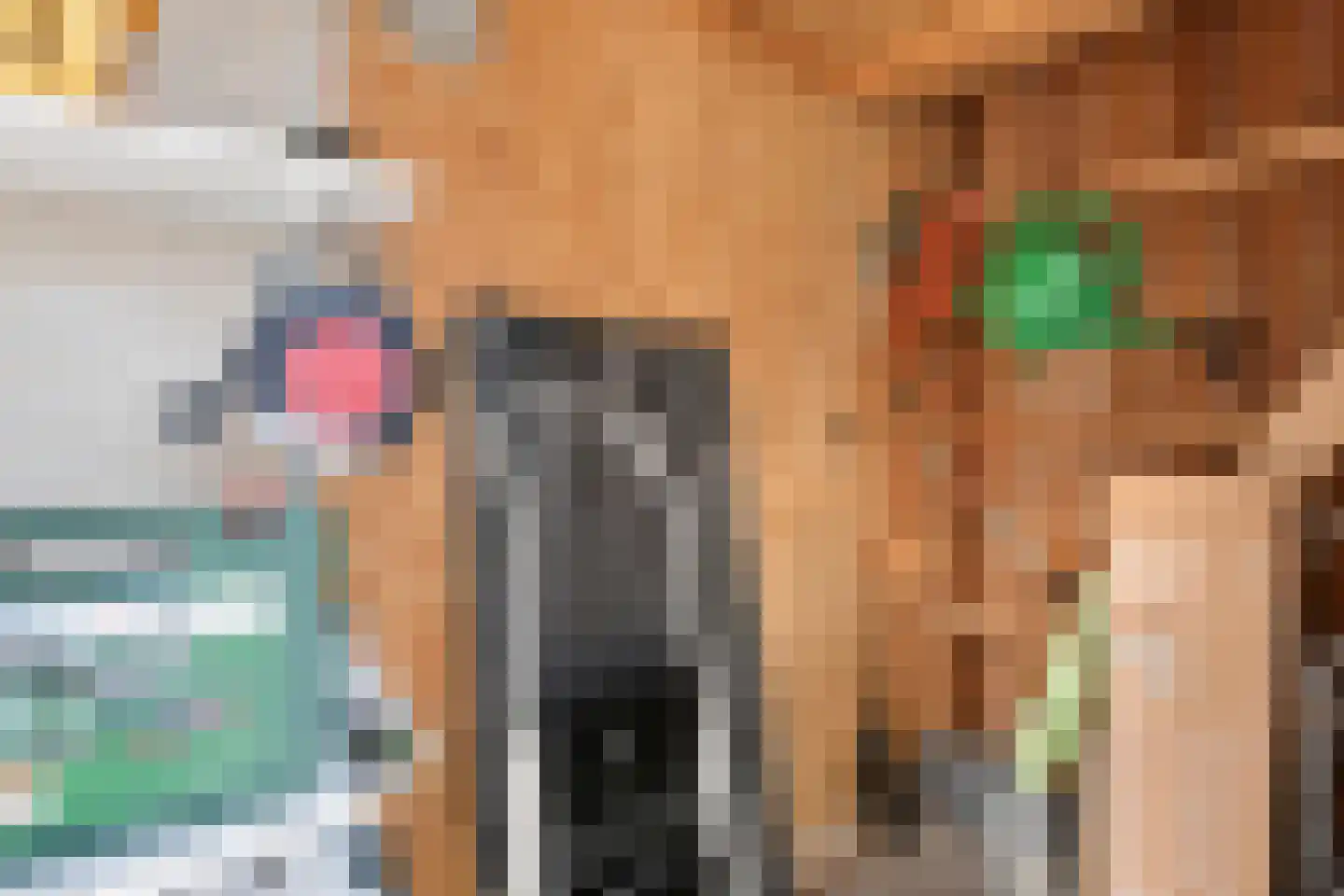 Bebopdreef 8 Harderwijk thumbnail 59