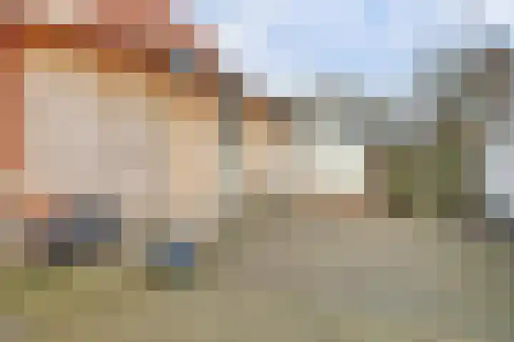 Bebouwdendam 15 Tholen thumbnail 38