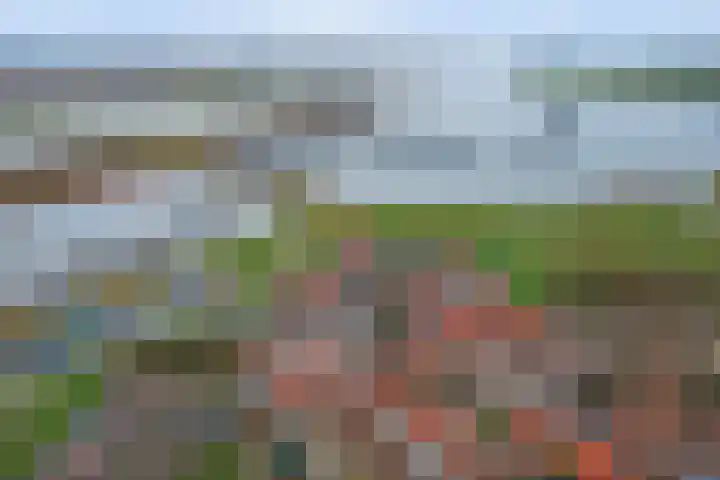 Bebouwdendam 15 Tholen thumbnail 58
