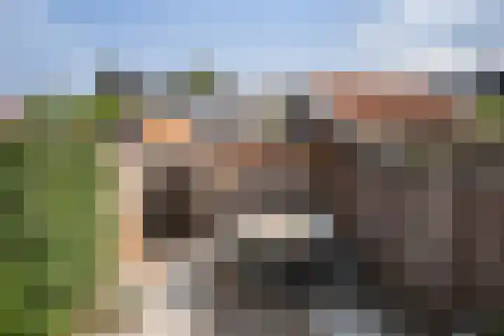 Bebouwdendam 27 Tholen thumbnail 19
