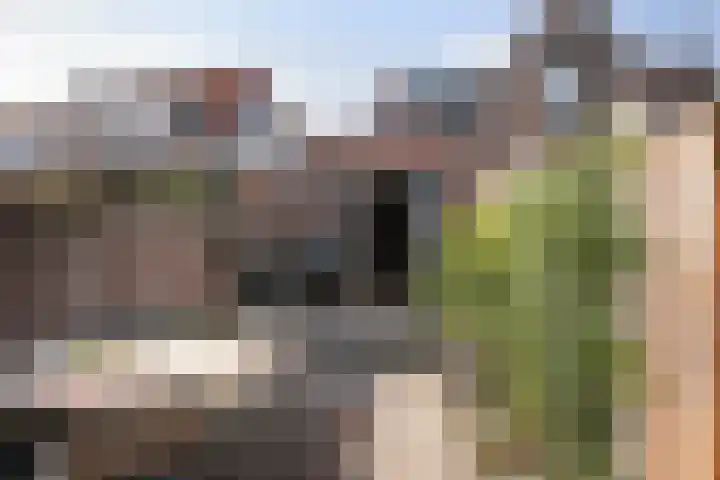 Bebouwdendam 27 Tholen thumbnail 20