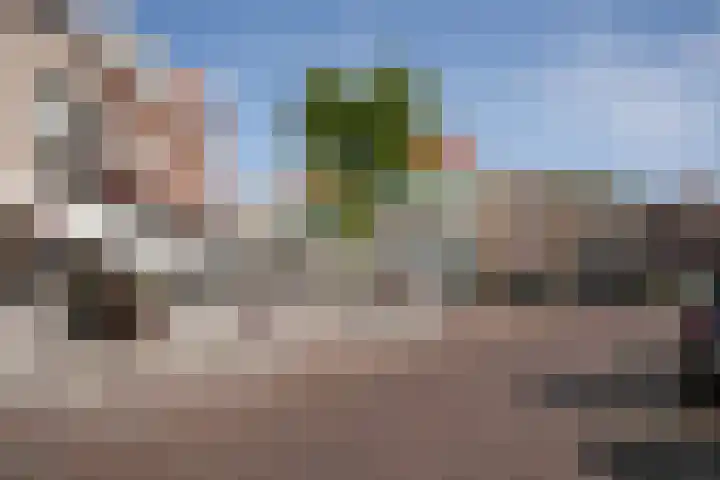 Bebouwdendam 27 Tholen thumbnail 23