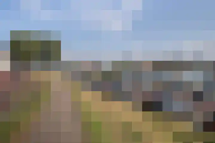 Bebouwdendam 27 Tholen thumbnail 26