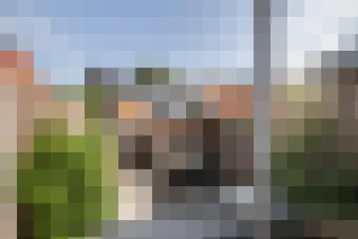 Bebouwdendam 27 Tholen thumbnail 5