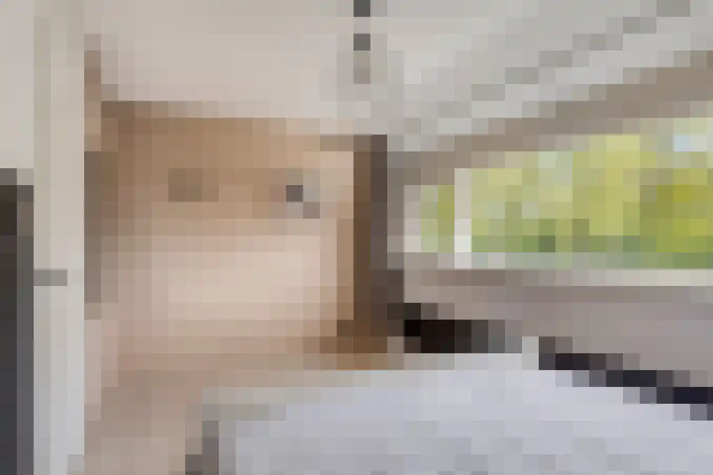 Bechlaan 17 Goes thumbnail 18