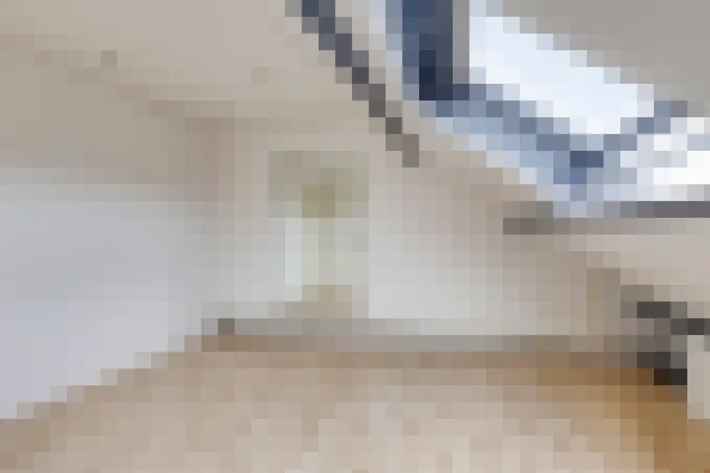 Bechlaan 17 Goes thumbnail 26