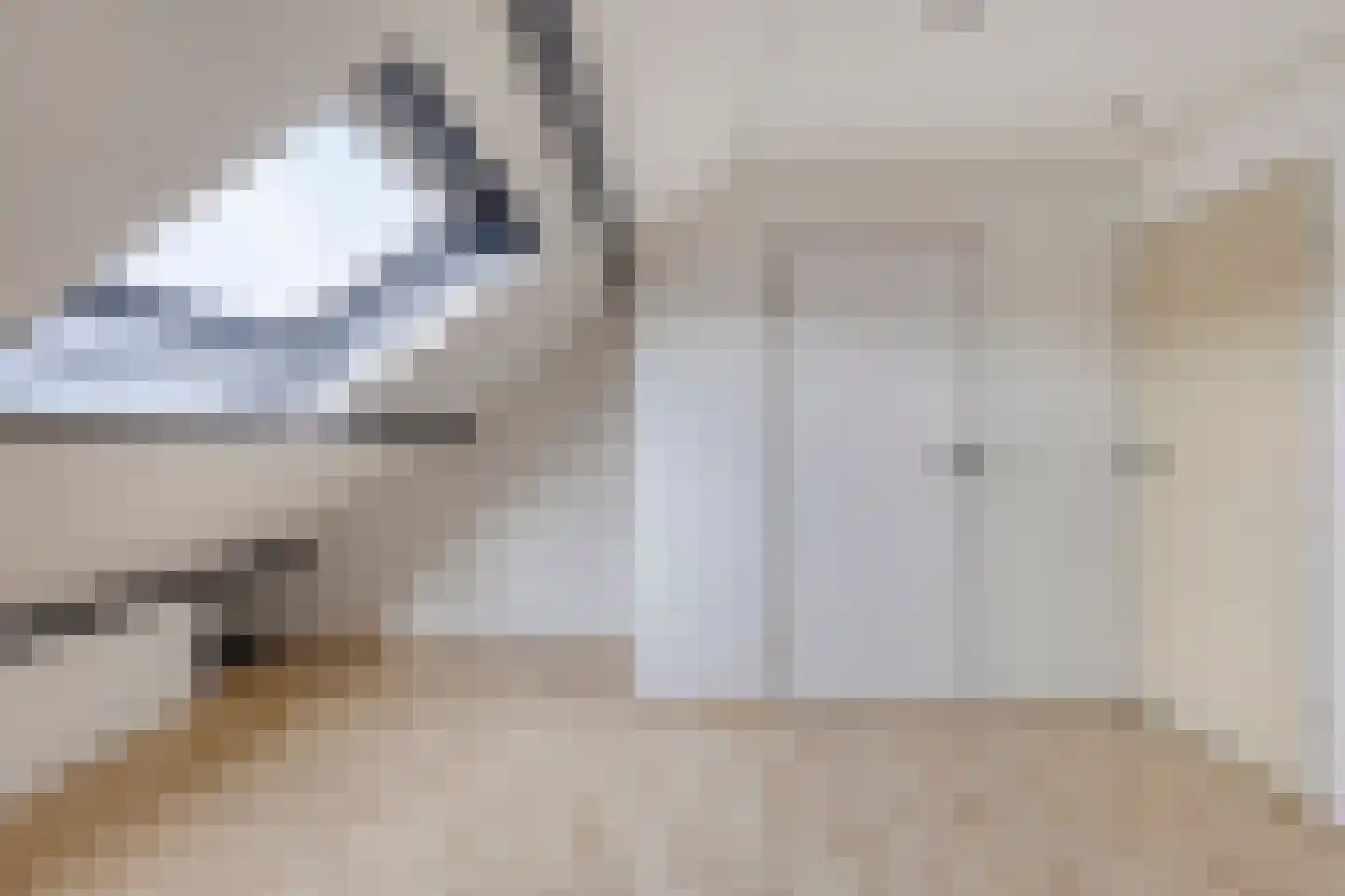 Bechlaan 17 Goes thumbnail 27