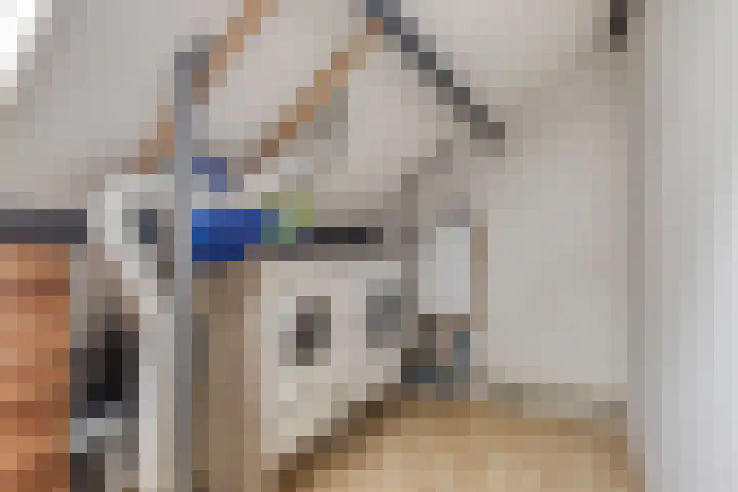 Bechlaan 17 Goes thumbnail 28
