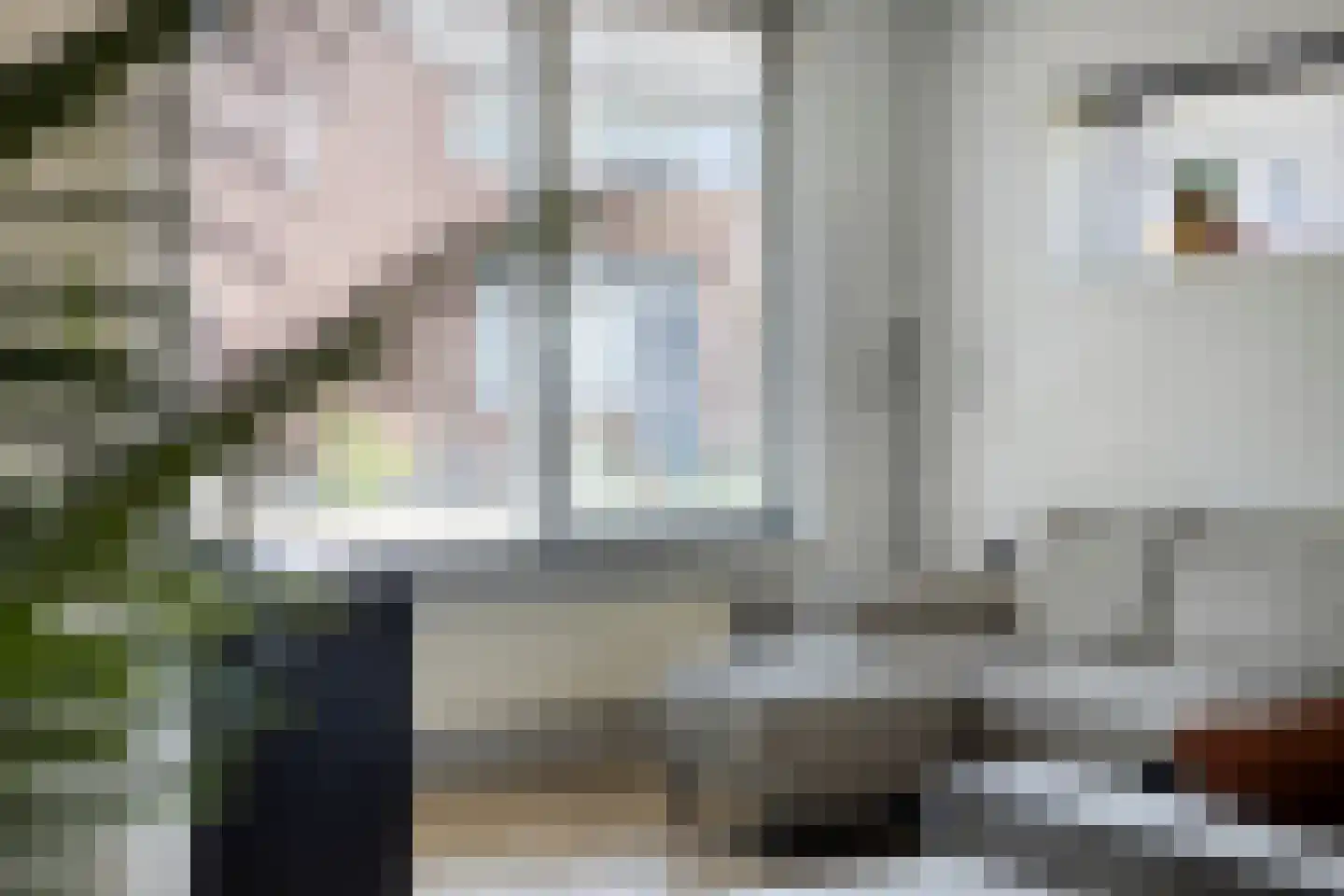 Bechlaan 9 Goes thumbnail 12