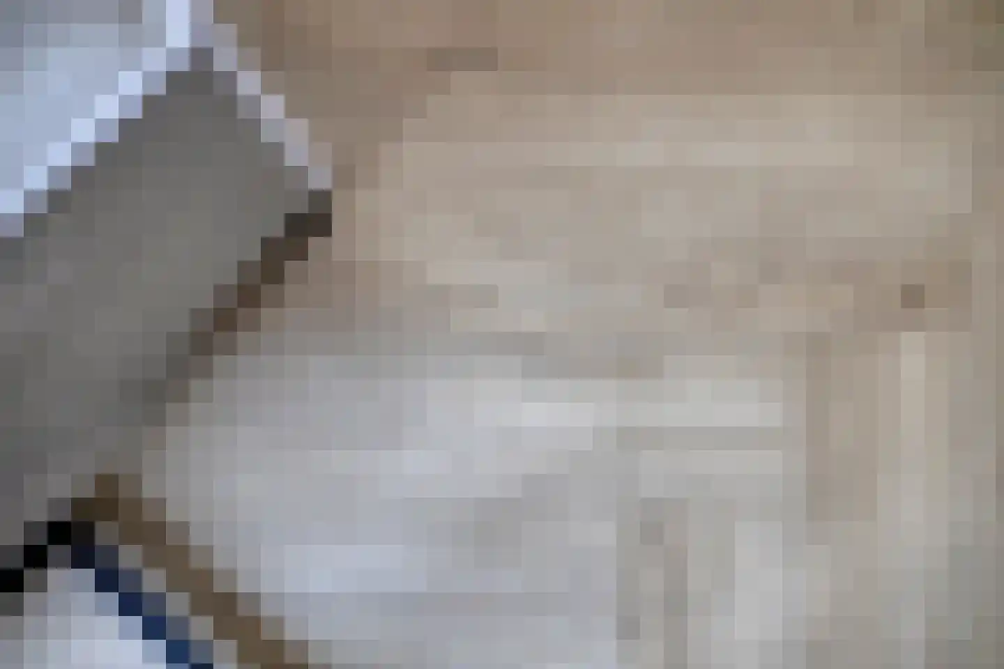 Bechlaan 9 Goes thumbnail 13