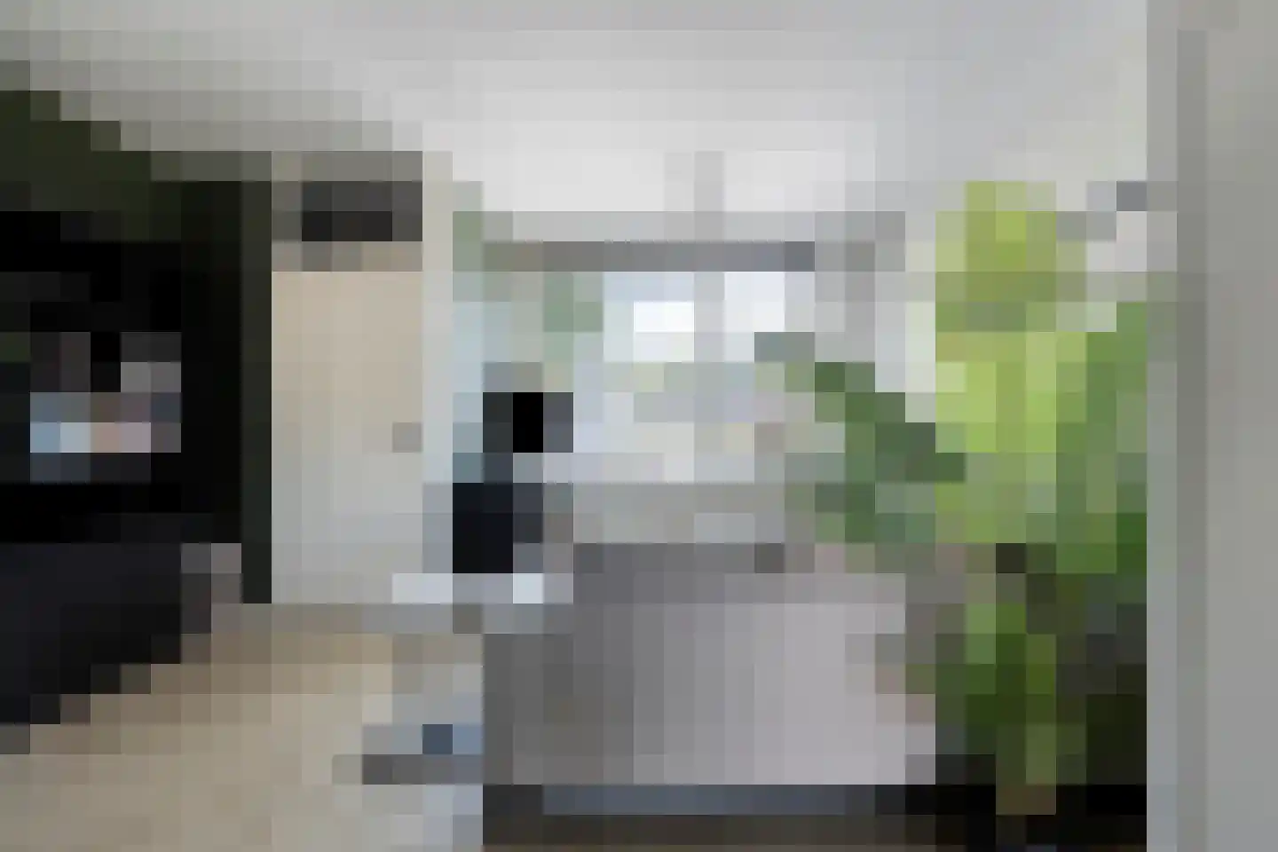 Bechlaan 9 Goes thumbnail 14