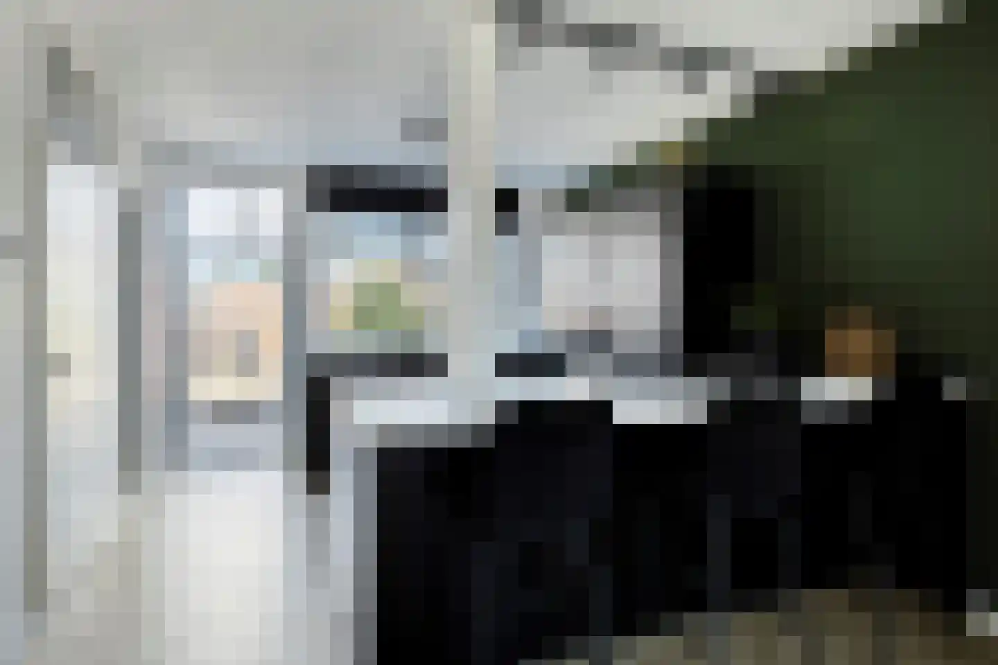Bechlaan 9 Goes thumbnail 15