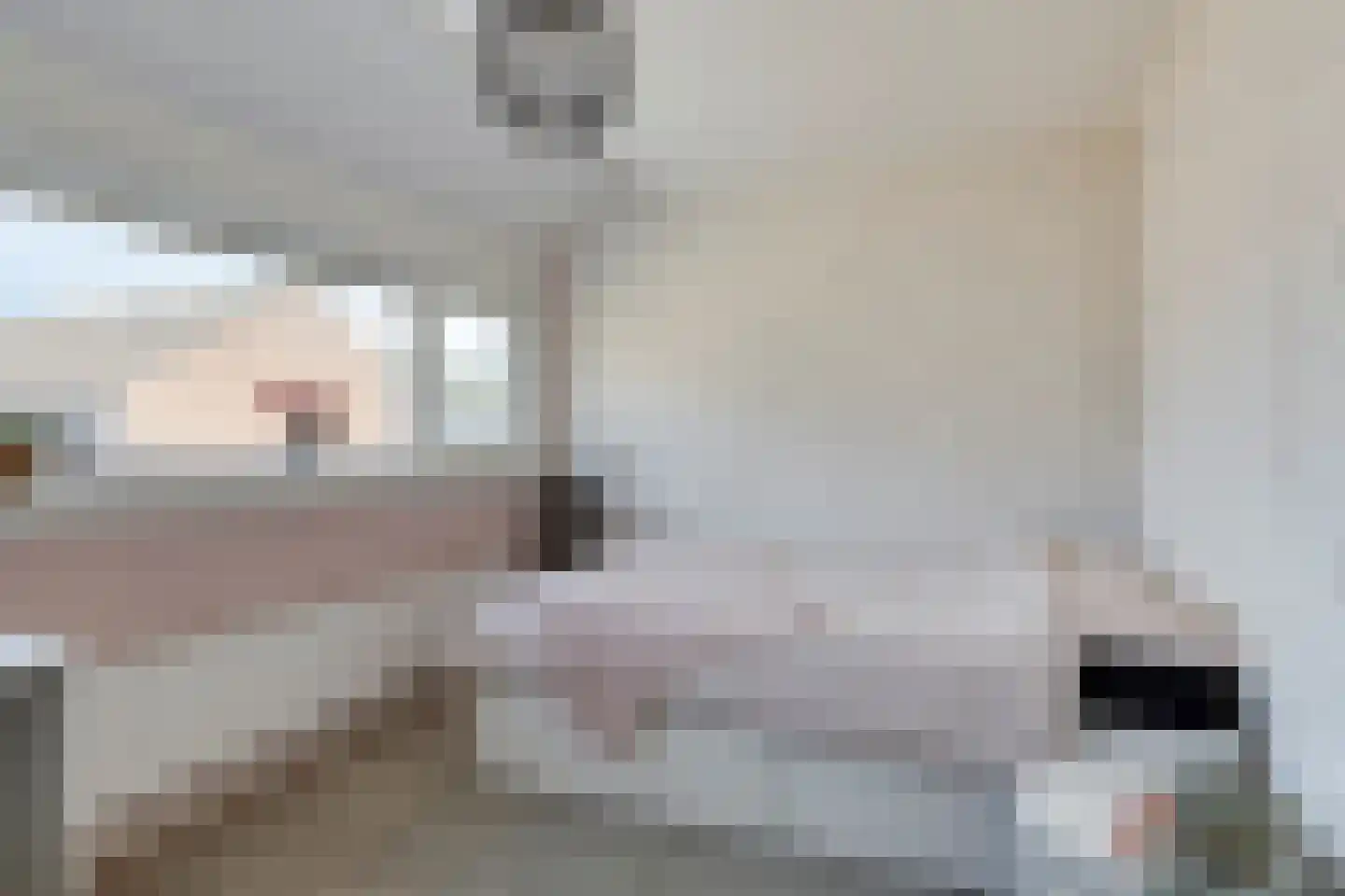 Bechlaan 9 Goes thumbnail 25