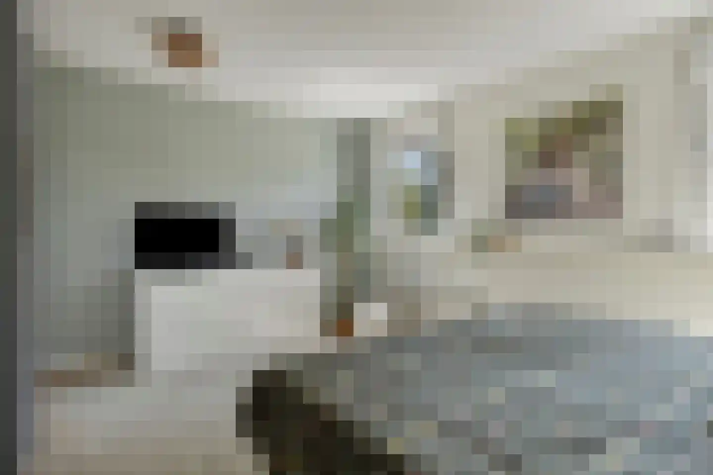 Bechlaan 9 Goes thumbnail 28