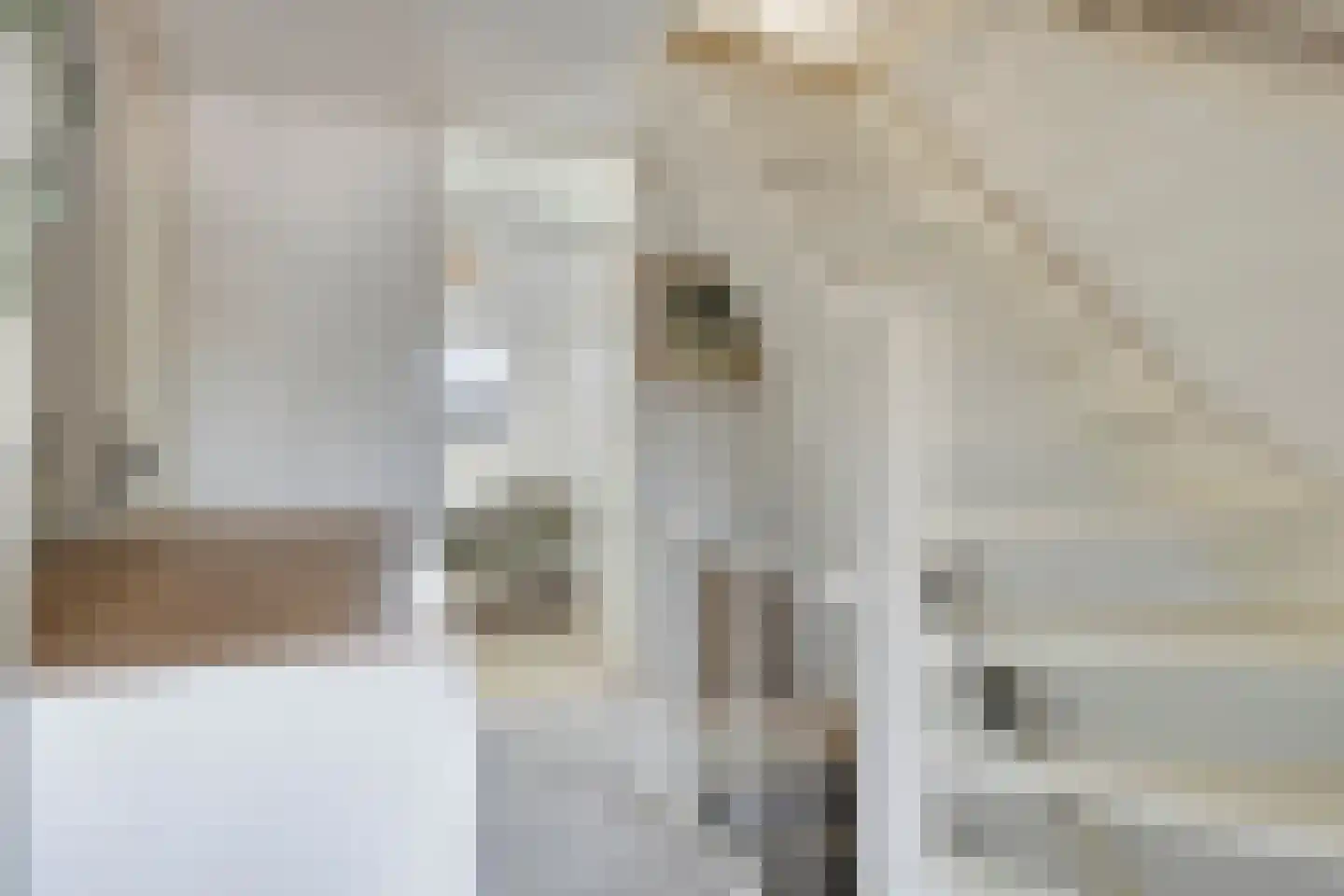 Bechlaan 9 Goes thumbnail 30