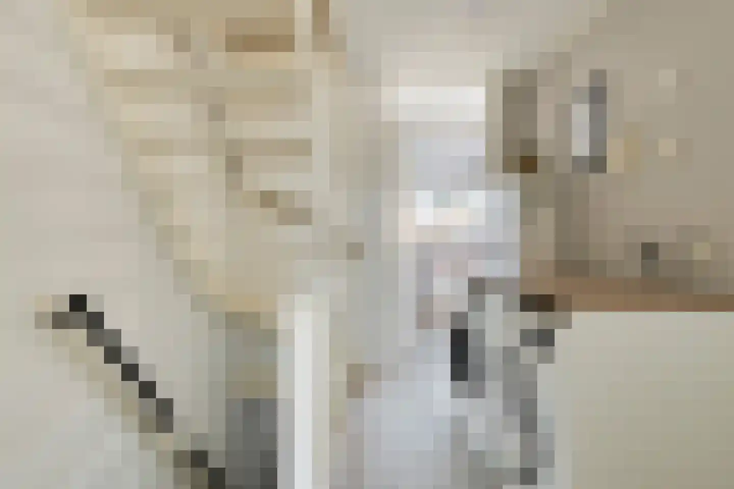 Bechlaan 9 Goes thumbnail 31