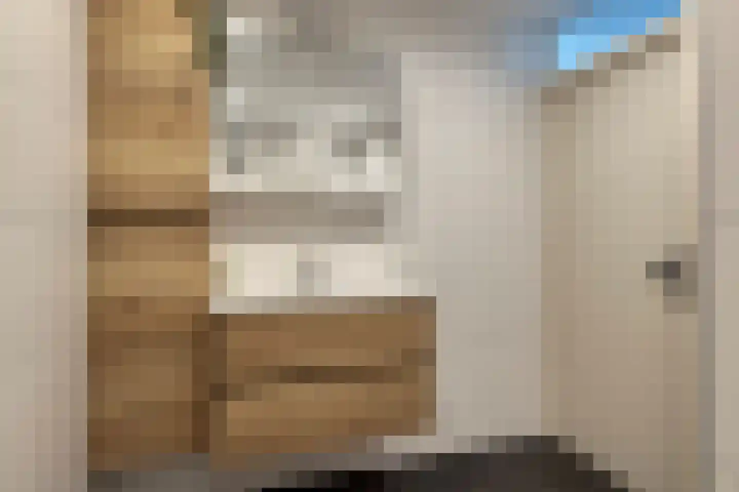 Bechlaan 9 Goes thumbnail 33
