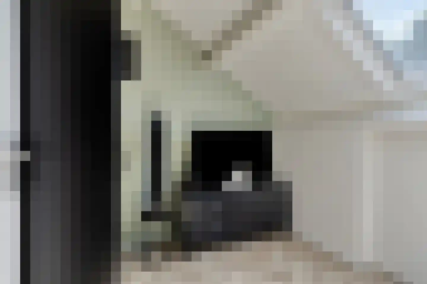 Bechlaan 9 Goes thumbnail 36