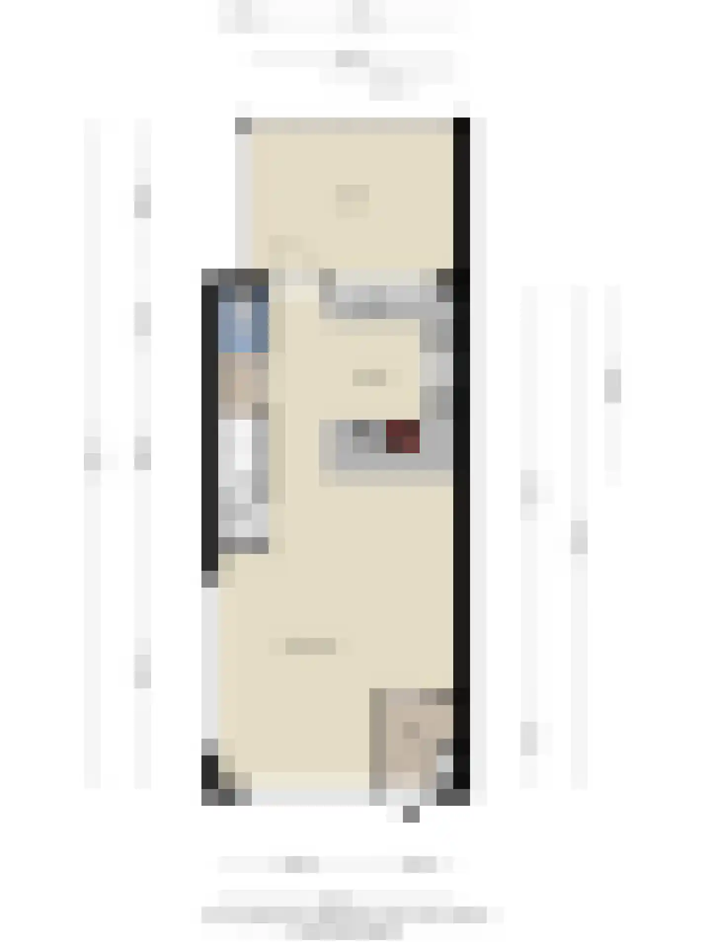 Bechlaan 9 Goes thumbnail 44