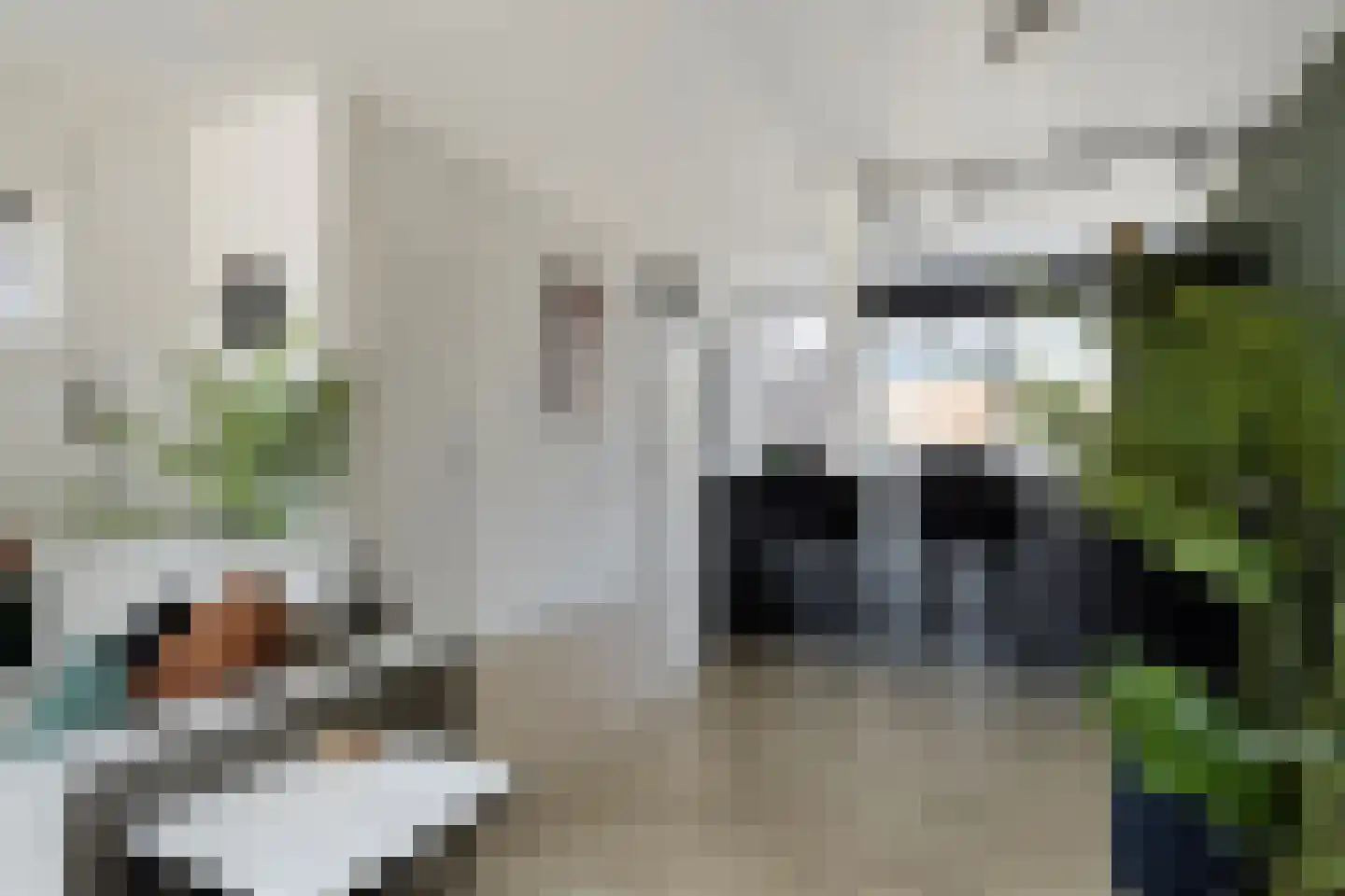 Bechlaan 9 Goes thumbnail 8