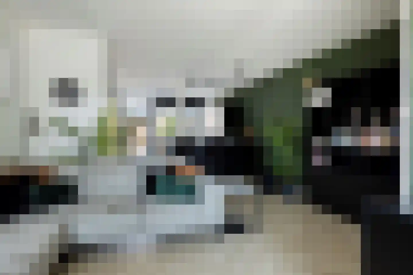 Bechlaan 9 Goes thumbnail 9