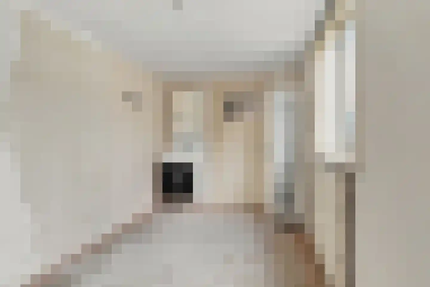 Beciusstraat 20 Oost-Souburg thumbnail 12