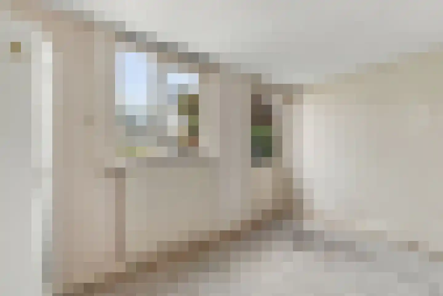 Beciusstraat 20 Oost-Souburg thumbnail 13