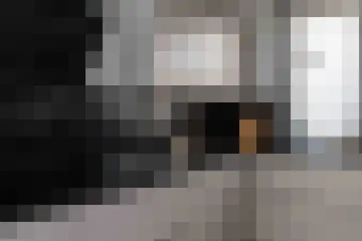 Beckaff 2 Bergen op Zoom thumbnail 10