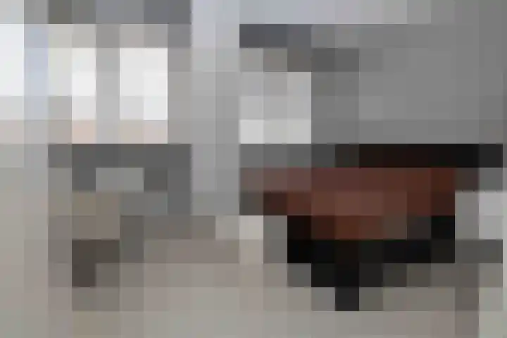 Beckaff 2 Bergen op Zoom thumbnail 15