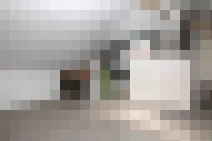 Beckaff 2 Bergen op Zoom thumbnail 30