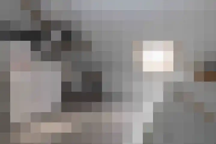 Beckaff 2 Bergen op Zoom thumbnail 31