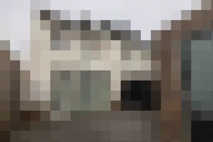 Beckaff 2 Bergen op Zoom thumbnail 32