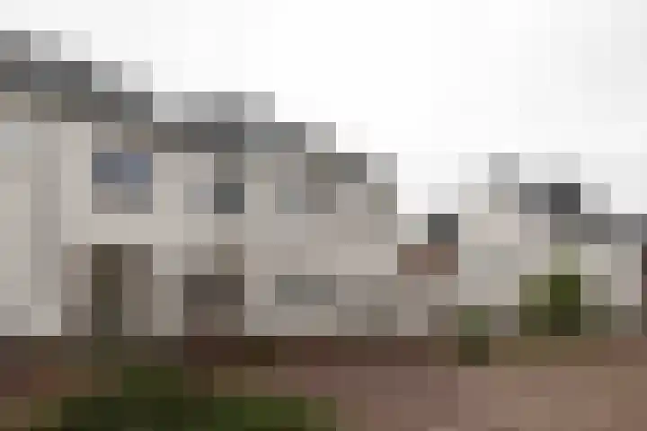 Beckaff 2 Bergen op Zoom thumbnail 36
