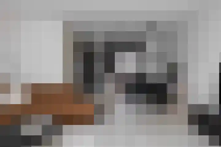 Beckaff 2 Bergen op Zoom thumbnail 6