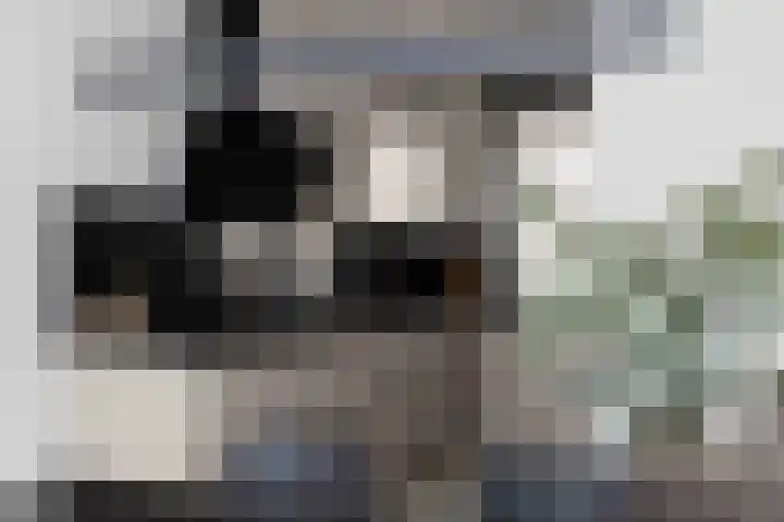 Beckaff 2 Bergen op Zoom thumbnail 8