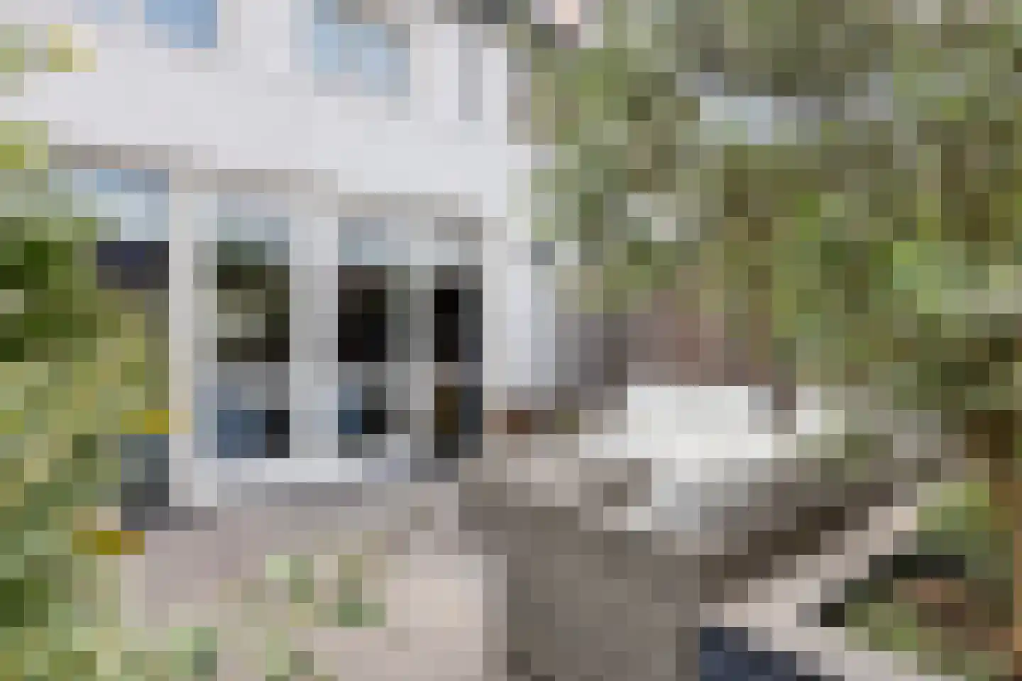 Beckaff 3 Bergen op Zoom thumbnail 37